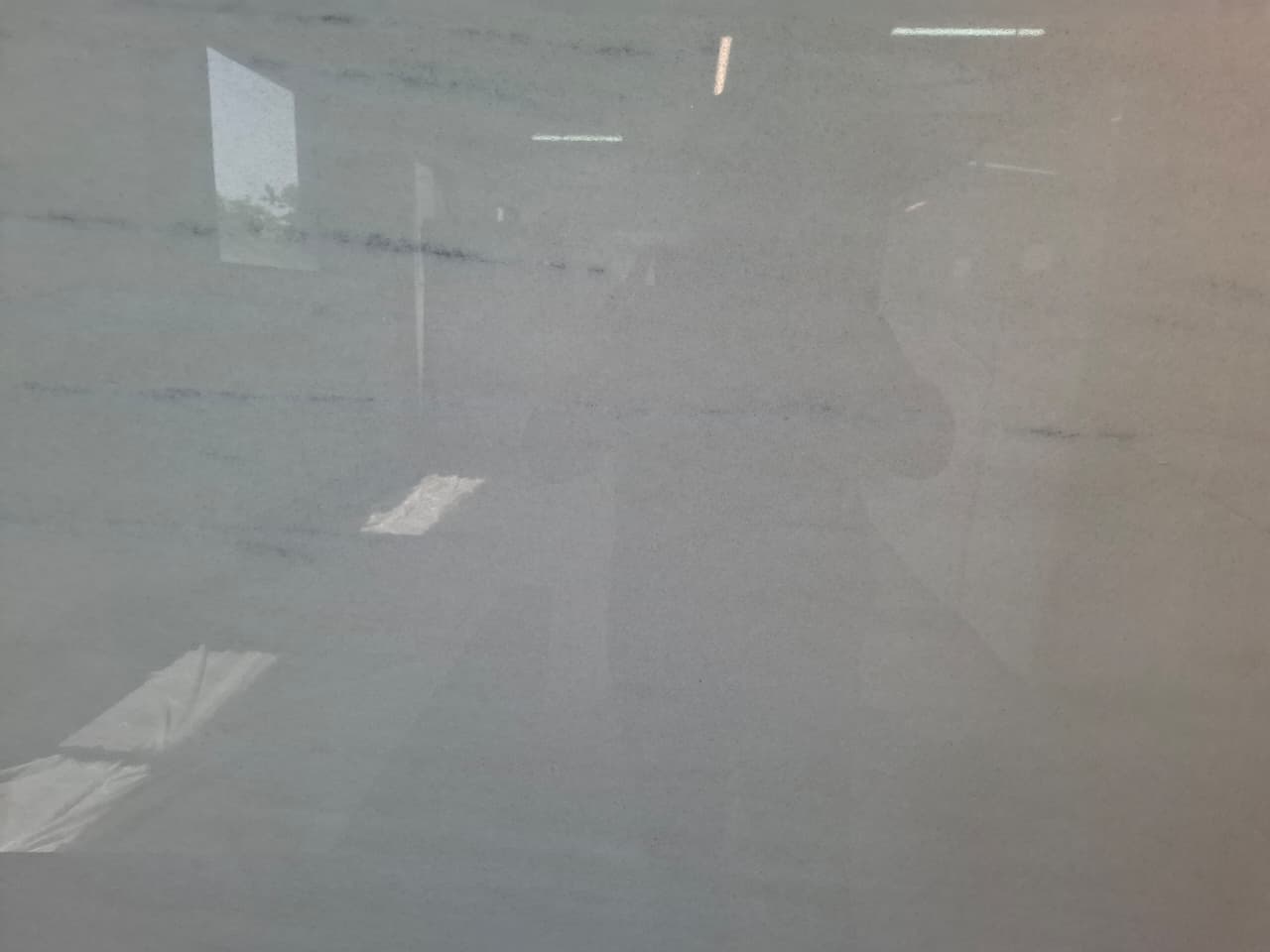 LASSA WHITE