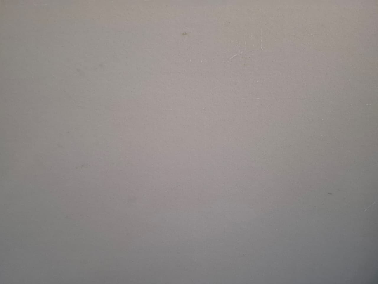 SWISS WHITE