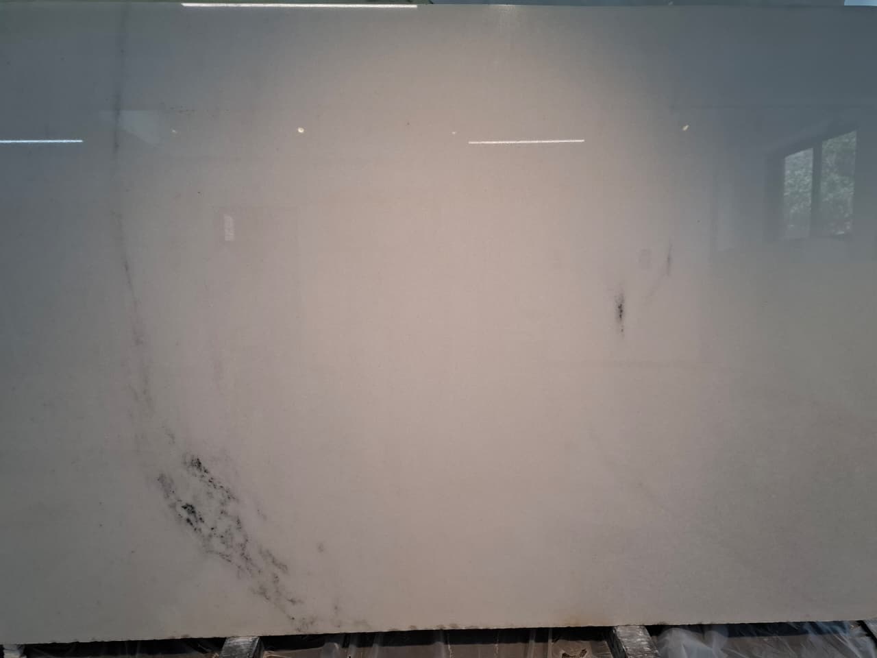 LASSA WHITE