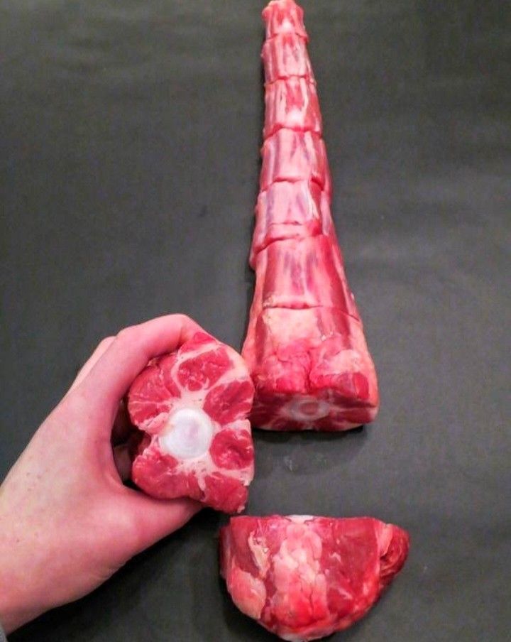 HUESO DE COLA DE RES