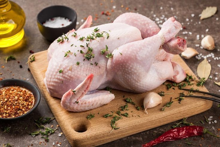GALLINA