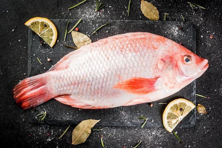 TILAPIA ROJA