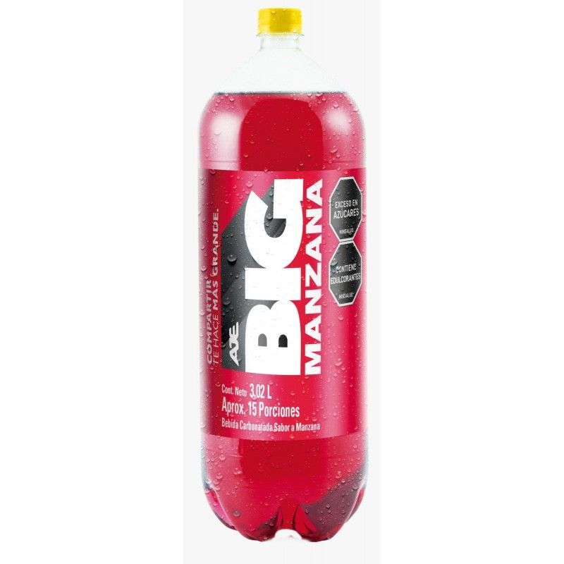 GASEOSA BIG X 3020 ML TODAS LAS REFERNCIAS  PACX6U