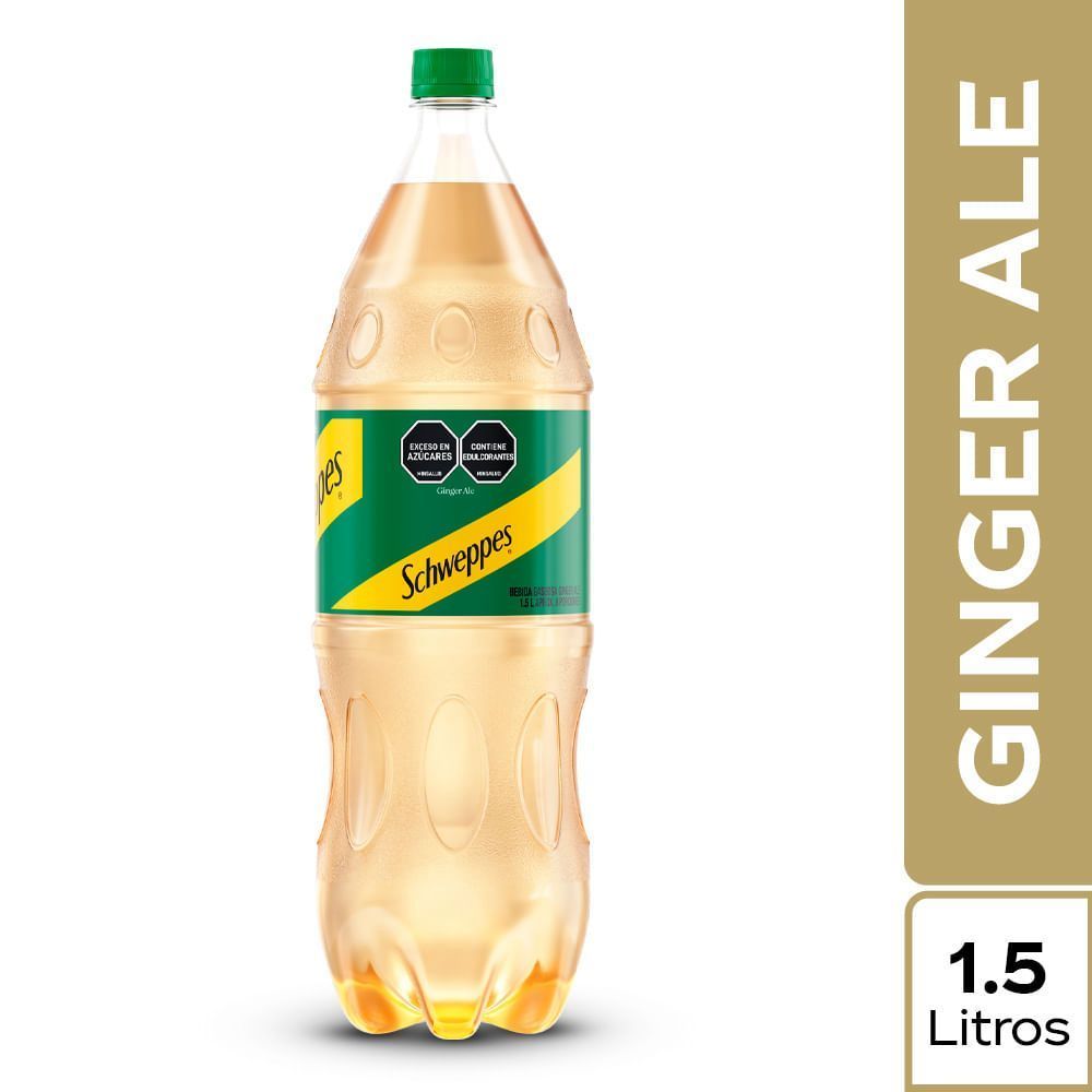 GINGER 1.5