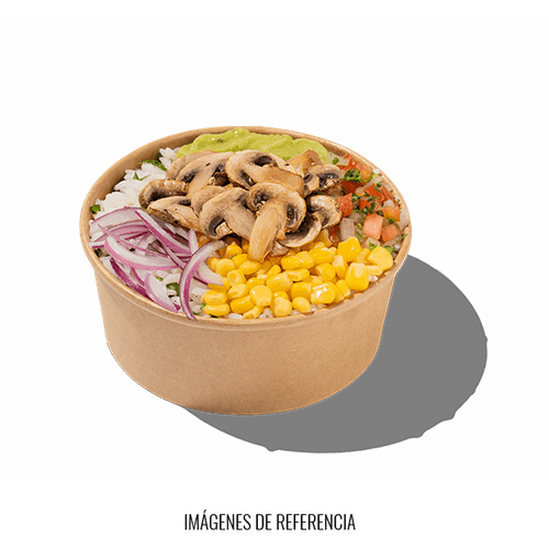Qbowl Vegetariano individual