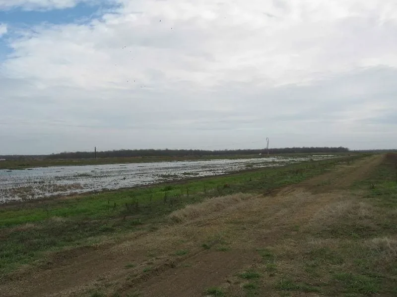 Grid image 4