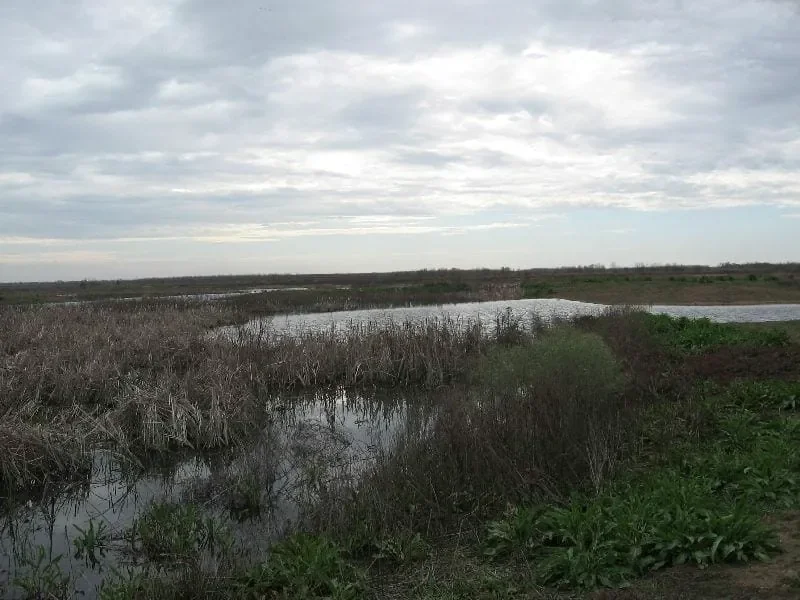 Grid image 3