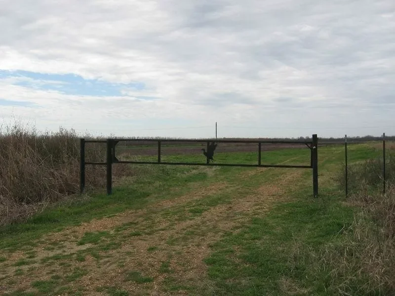 Grid image 2