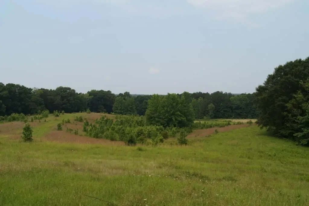 Grid image 5