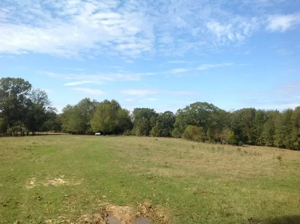 Grid image 2
