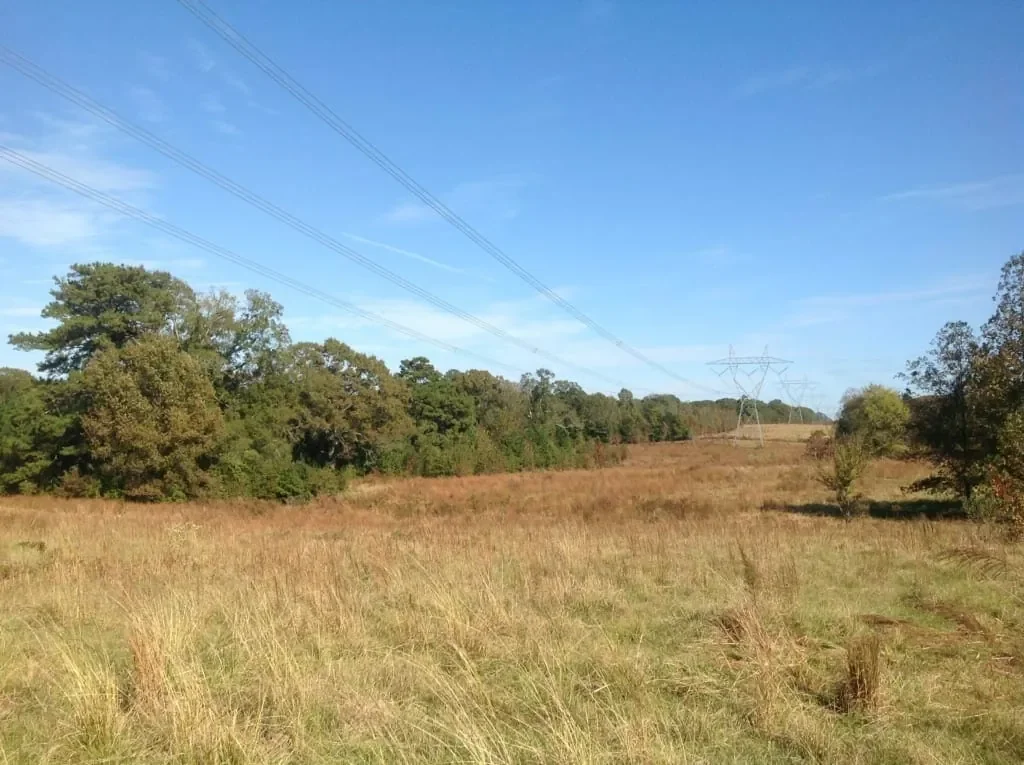 Grid image 3