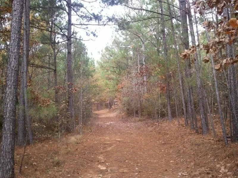 Grid image 4