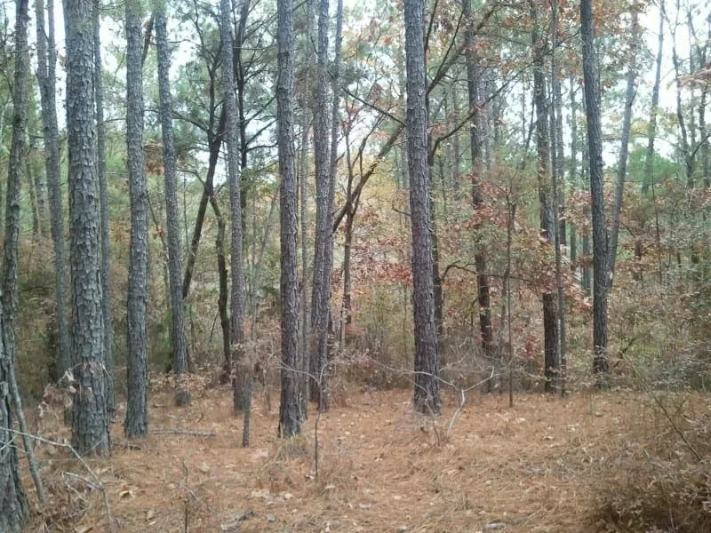 Grid image 5
