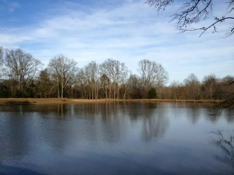 Grid image 2