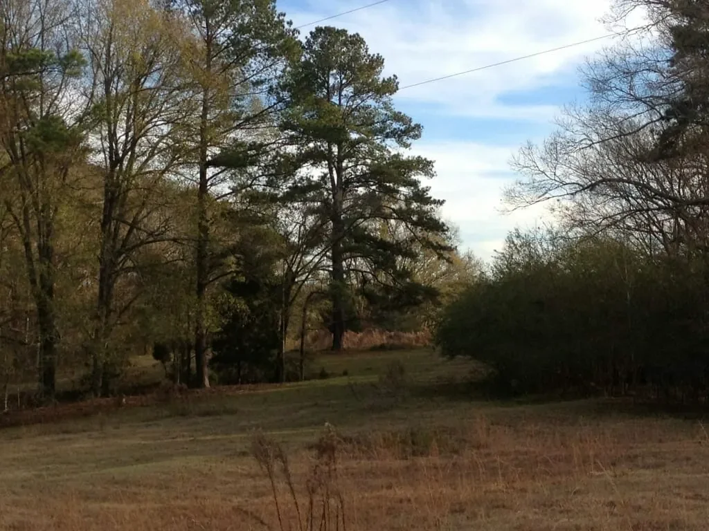 Grid image 3