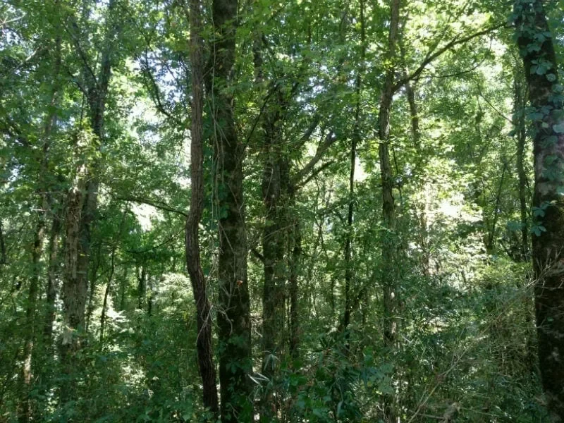 Grid image 4