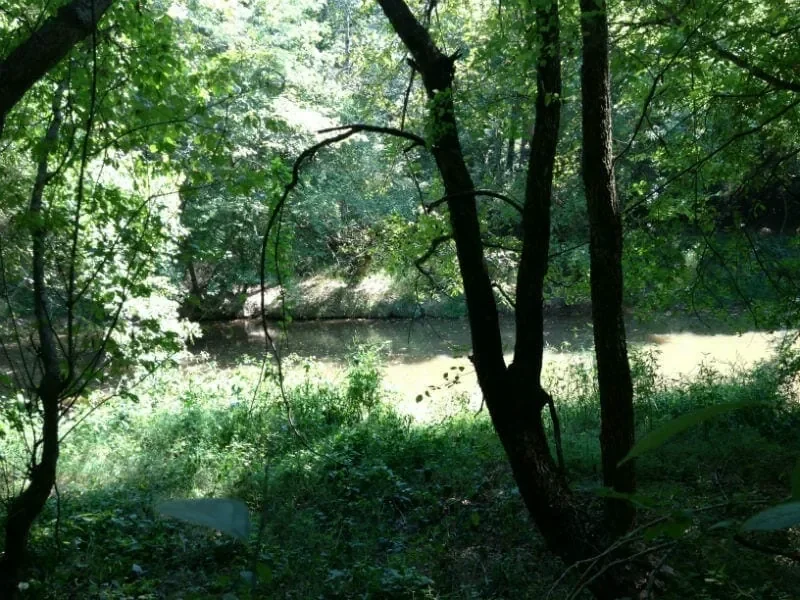 Grid image 5