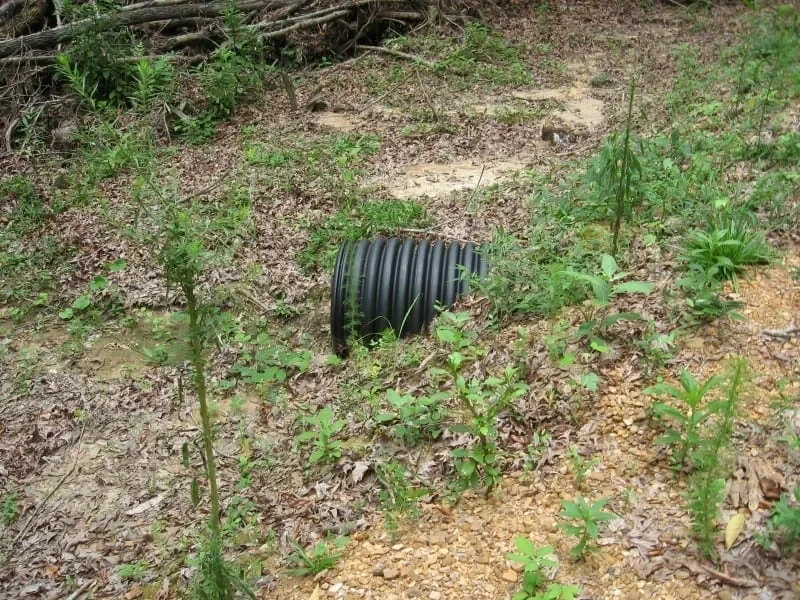 Grid image 5