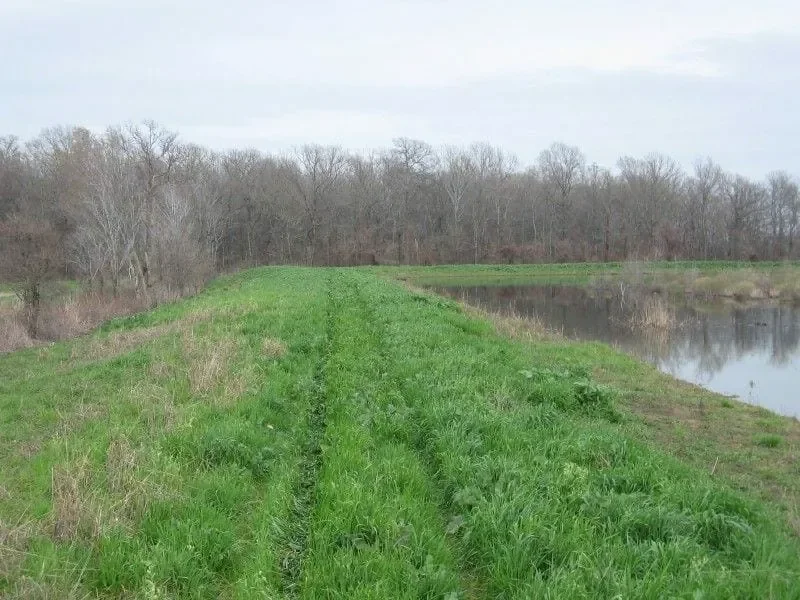 Grid image 4