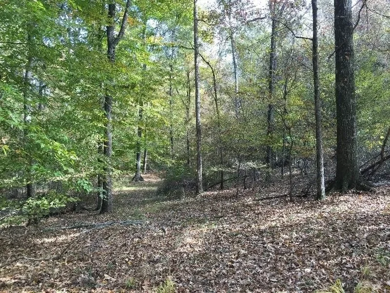 Grid image 4