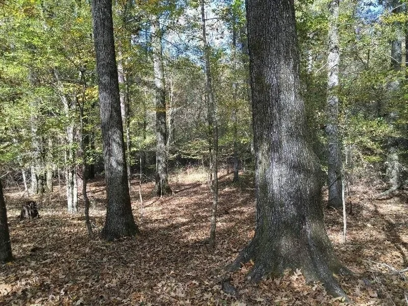 Grid image 5