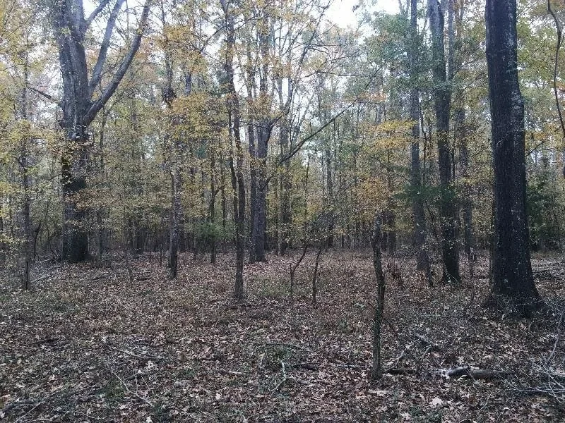 Grid image 3