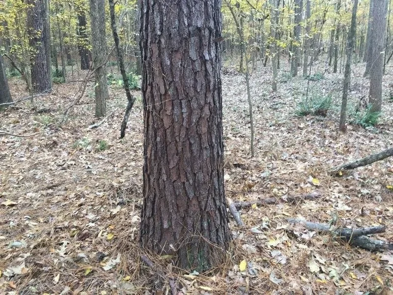Grid image 5