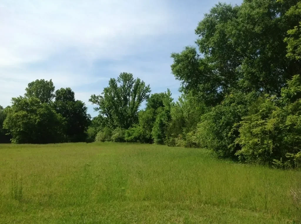Grid image 2