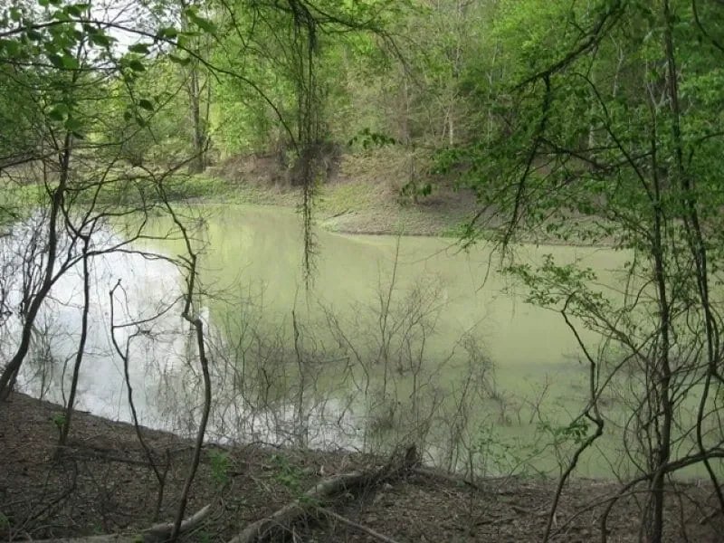 Grid image 3