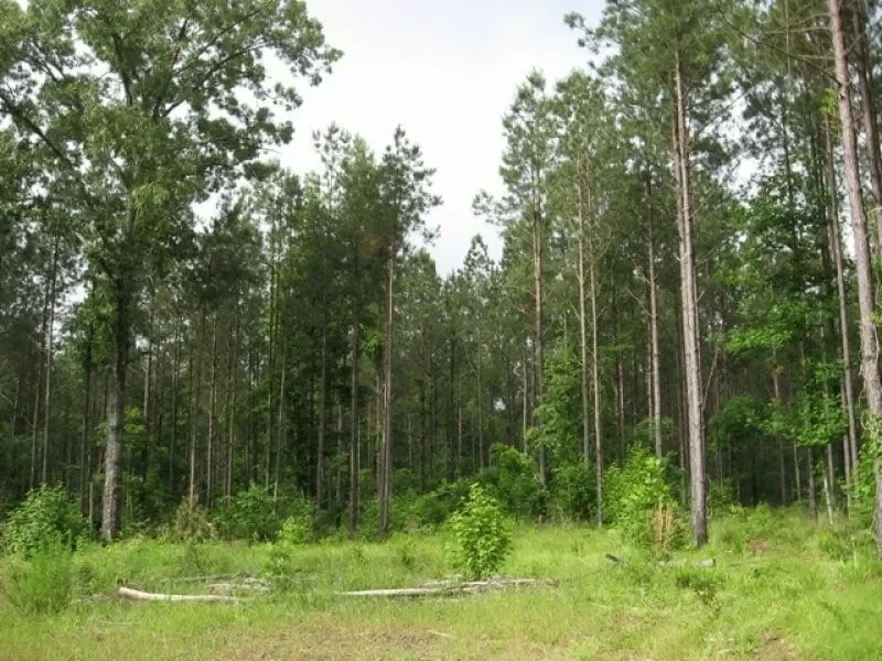 Grid image 5