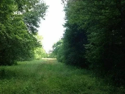 Grid image 2