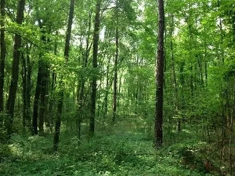 Grid image 3