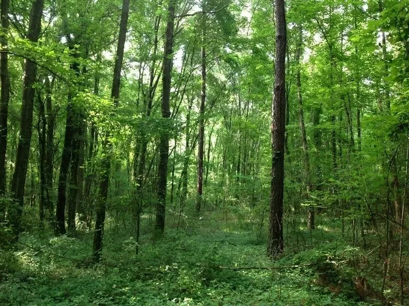 Grid image 2