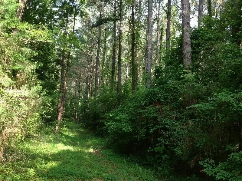 Grid image 4