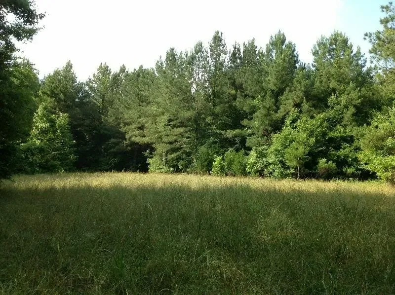 Grid image 5