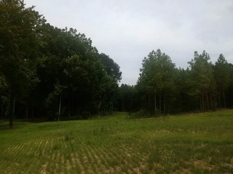 Grid image 3