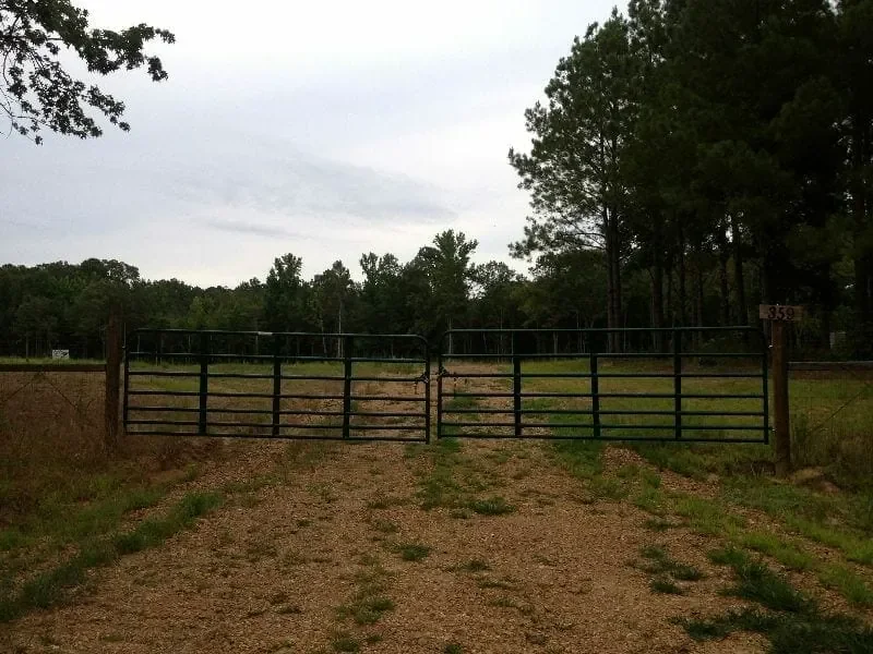 Grid image 5