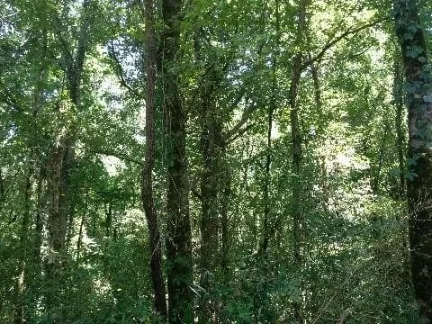 Grid image 2