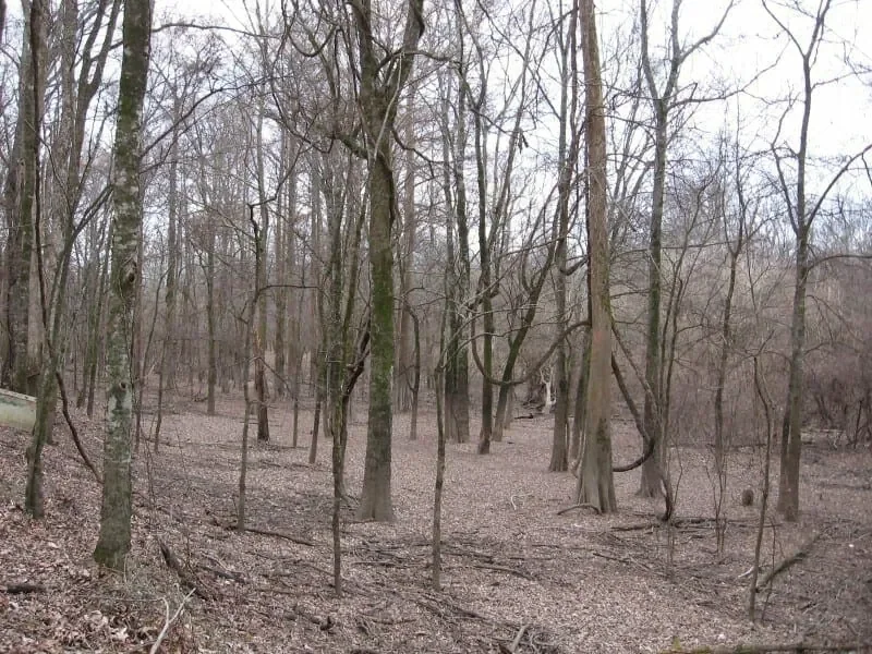 Grid image 4