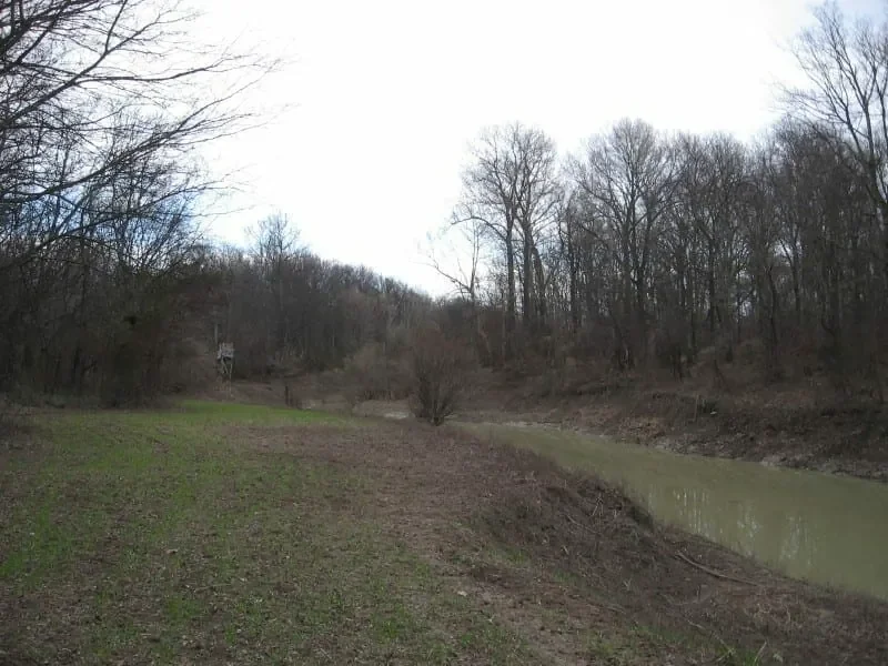 Grid image 5