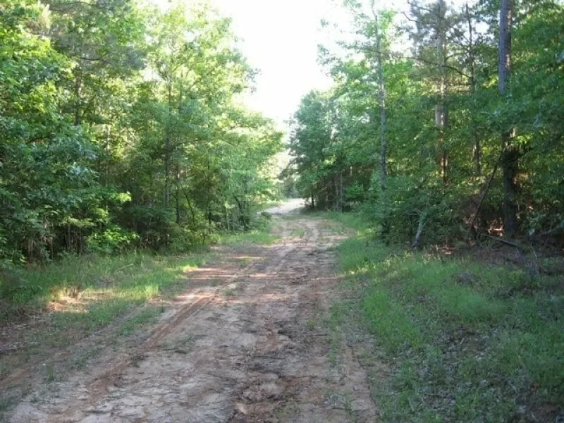 Grid image 2
