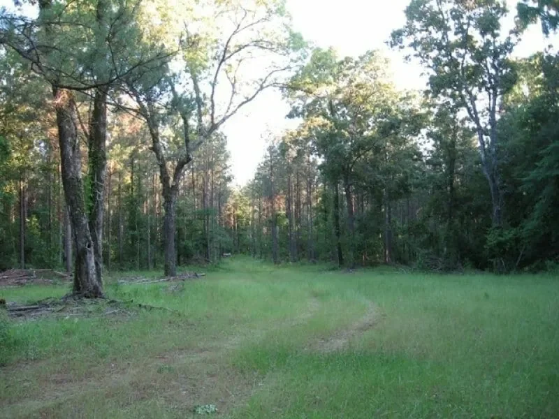 Grid image 3