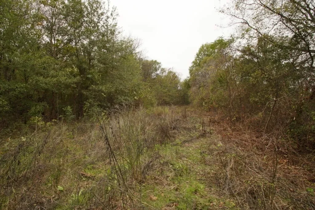 Grid image 4