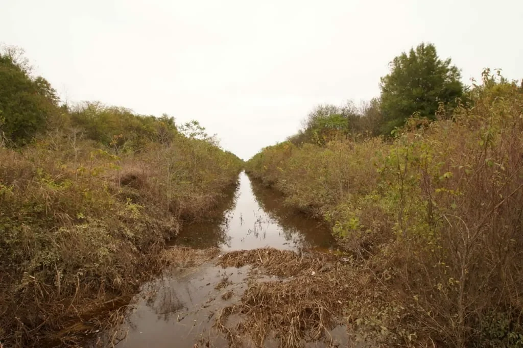 Grid image 5
