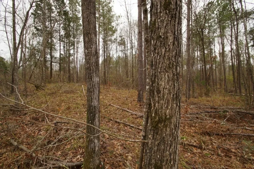 Grid image 5