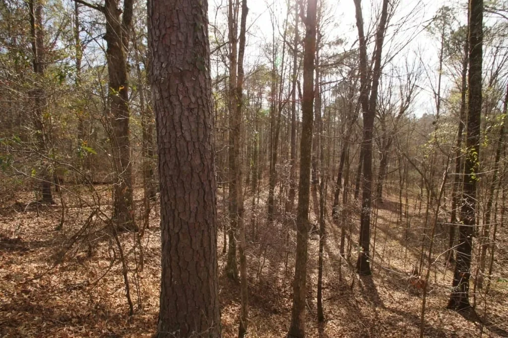 Grid image 3