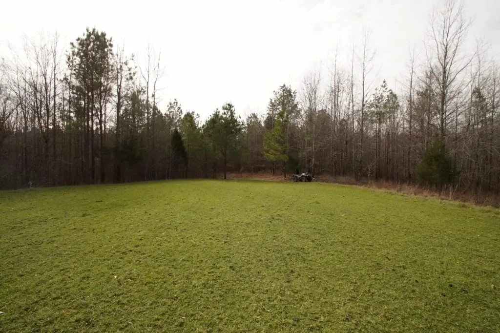 Grid image 4