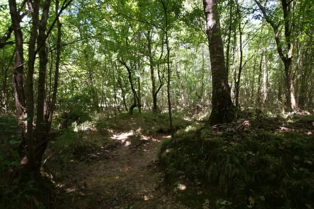 Grid image 5