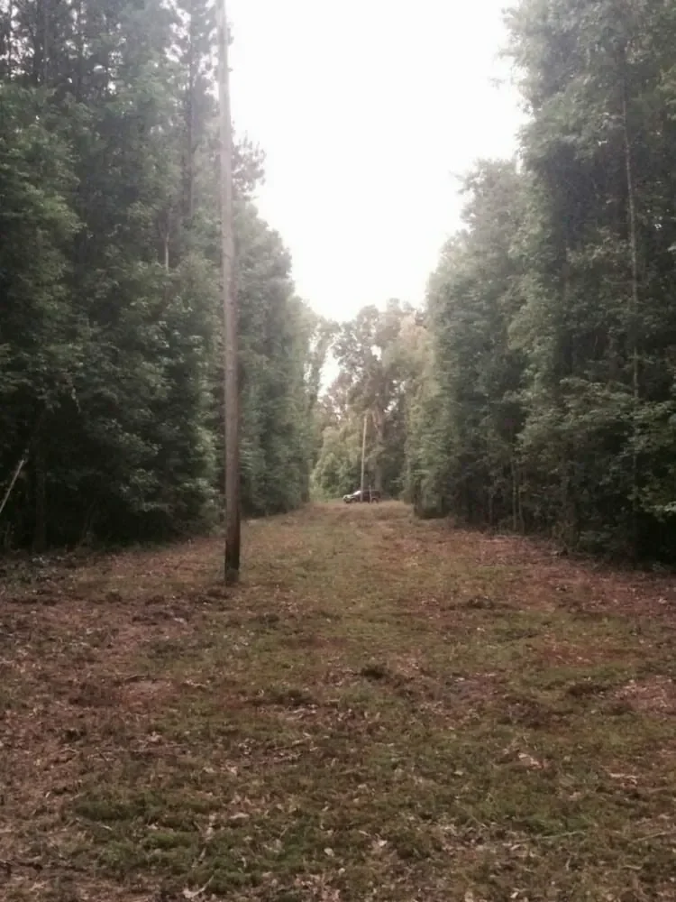 Grid image 3