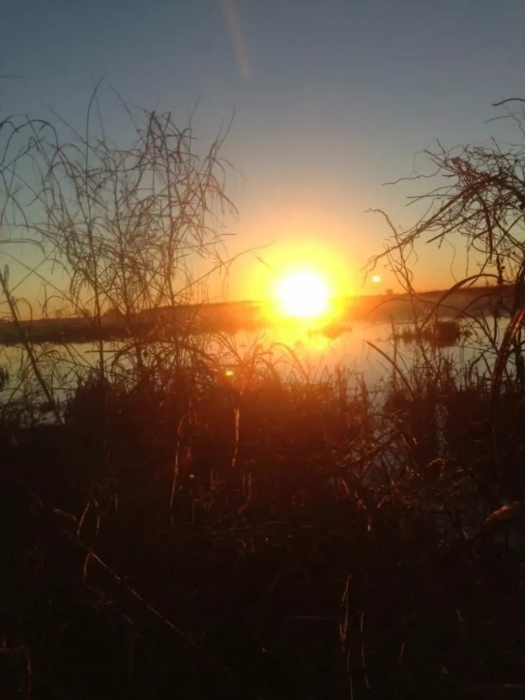 Grid image 2